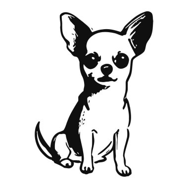 Büyüleyici siyah ve beyaz chihuahua çizgi filmi. Büyük kulakları ve dost canlısı yüz ifadesiyle oturuyor. Bu sevimli illüstrasyon, soyun neşeli ve sevecen doğasını yakalar ve onu sadık bir yoldaşın hoş bir temsili yapar. Basitlik