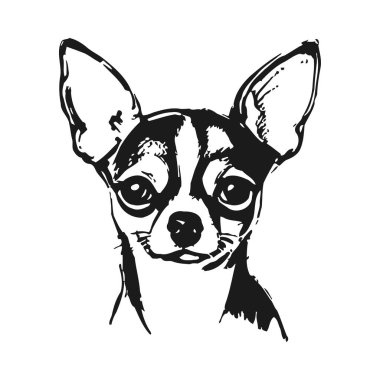 Bir chihuahua 'nın büyük gözleri ve göze çarpan kulaklarının güzel yapılmış siyah-beyaz çizimi. Basit, cesur çizgiler köpeğin özelliklerini vurgular, çarpıcı bir görsel tasvir yaratır..