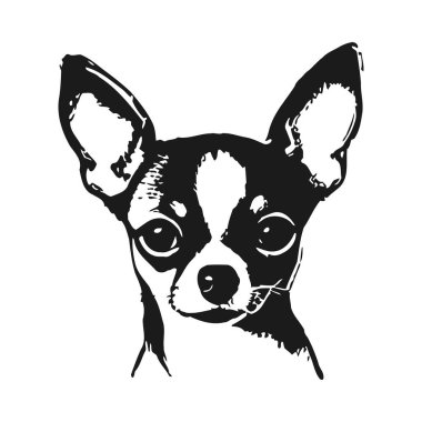 Büyük kulakları ve anlamlı gözleri olan bir chihuahua 'nın yüzünün detaylı siyah beyaz çizimi. Köpeğin özelliklerini gösteren basit ama büyüleyici bir portre..