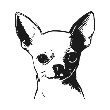 Ayrıntılı özellikleri olan bir chihuahua köpeğinin basit ama anlamlı siyah-beyaz çizimi. Kulaklar açıldı ve gözler ileriye bakıyor, bir uyanıklık ve merak hissi veriyor. Siyah ve beyaz arasında katıksız zıtlığa sahip minimalist tasarım,