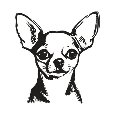 Cesur çizgileri ve çarpıcı yüz hatları olan bir chihuahua köpeği tasviri. Kulaklar büyük ve sivridir, gözler ise anlamlı ve çekicidir, köpeğin kişiliğini ve çekiciliğini basit ama etkili bir tasarımla yakalar. Genel etki kesiklerden biridir.