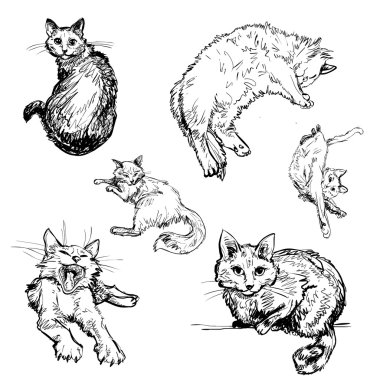 Kediler (vektör kümesi)