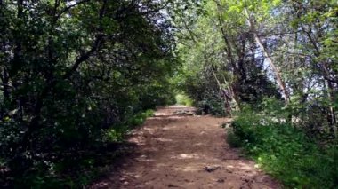 Kronstadt Rif kalede terk edilmiş bir yol. Kotlin Adası.