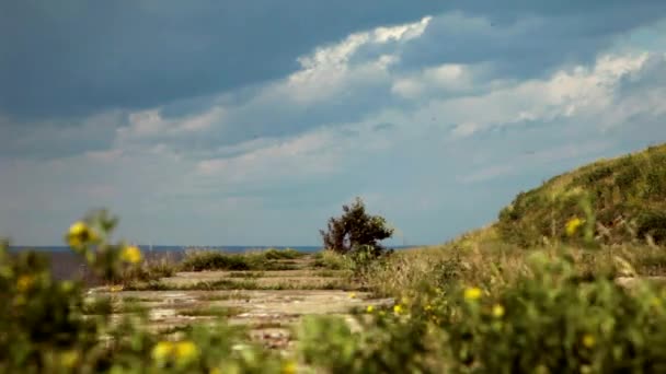 Kronstadt starożytnej twierdzy wojskowej Fort Rif — Wideo stockowe