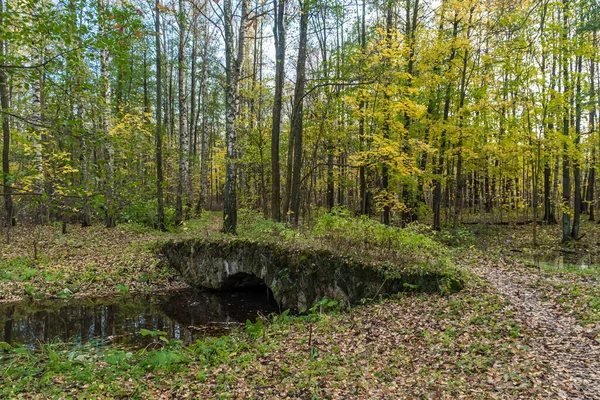 Alte Tuffsteinbrücke im Englischen Park von Petrodworez. — Stockfoto