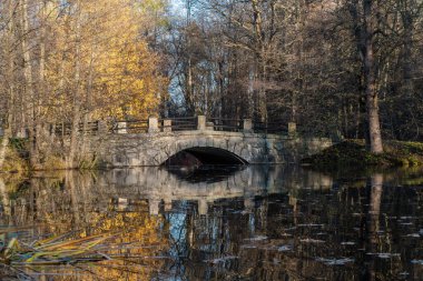 Lomonosov kasabası yakınlarındaki Cristatella Park Sergievka nehri üzerindeki pitoresk taş köprü..
