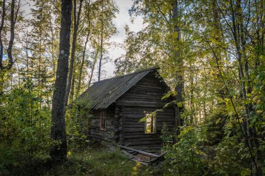 - Rusya. Leningrad bölgesi. Film için ortam, ormanda terk edilmiş bir kulübe şeklindedir..