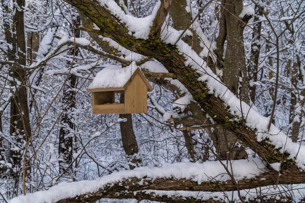 Птичий корм в зимнем заснеженном лесу. — стоковое фото