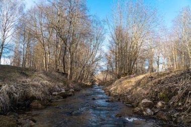 - Rusya. 5 Nisan 2020. Petrodvorets çeşmelerine su sağlayan Kanal Yıldızları..