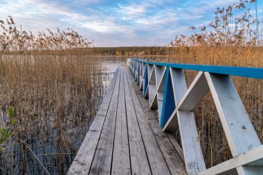 - Rusya. 14 Mayıs 2021. Sıcak bir Mayıs akşamı Sukhodolsky gölünde.