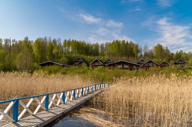 - Rusya. 15 Mayıs 2021. Leningrad bölgesindeki Sukhodolsky Gölü 'nün ılık güneşli havasında sabah manzarası.