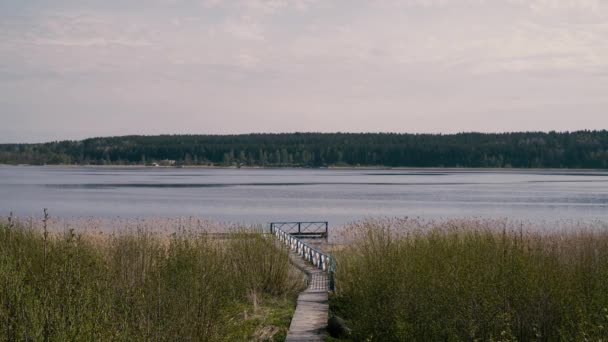Rosja Maja 2021 Poranny Wiosenny Krajobraz Ciepłej Słonecznej Pogodzie Jeziorze — Wideo stockowe