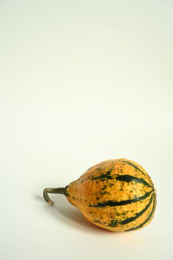 Tek bir renkli süs kabağı (squash) stüdyosunun dikey çekimleri, temiz beyaz arka planda bir gövde ile..