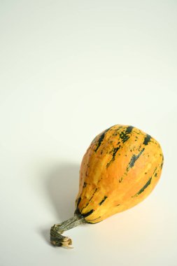 Tek bir renkli süs kabağı (squash) stüdyosunun dikey çekimleri, temiz beyaz arka planda bir gövde ile..