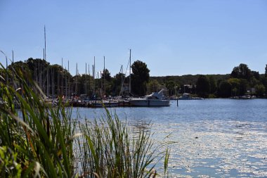 Temiz bir göl kıyısında, yemyeşil kamışlarla dolu huzurlu bir liman, sağlıklı bir su ekosistemi ve doğa ile insan aktiviteleri arasında sürdürülebilir bir uyum gösteriyor..