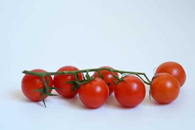 Sarmaşıklı kırmızı vişneli domates. Akdeniz mutfağı için taze mevsimlik malzemeler. Beyaz arka planda temiz bir stüdyo çekimi.