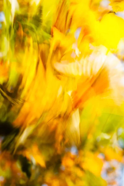 Outono abstrato — Fotografia de Stock