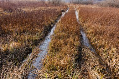 Çamurlu köy yolunda
