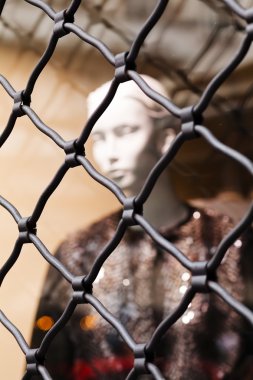 sonbahar çayır bitki örtüsü