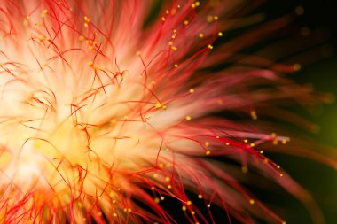 soyut bulanık parlaklık