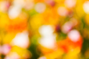 soyut bulanık parlaklık