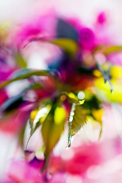 Abstraction pink flower — Stock Photo, Image