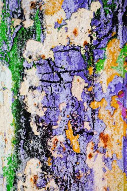 Hasarlı duvarın kalıntıları, yüzeysel alan derinliğine dikkat edin.