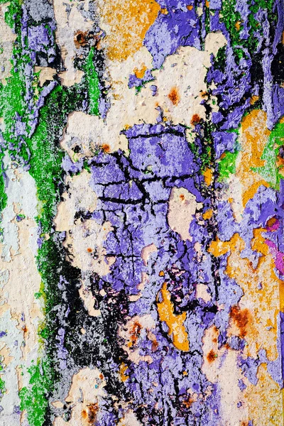 Hasarlı duvarın kalıntıları, yüzeysel alan derinliğine dikkat edin.