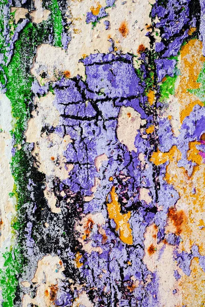 Hasarlı duvarın kalıntıları, yüzeysel alan derinliğine dikkat edin.