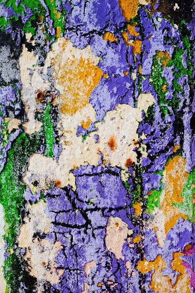 Hasarlı duvarın kalıntıları, yüzeysel alan derinliğine dikkat edin.