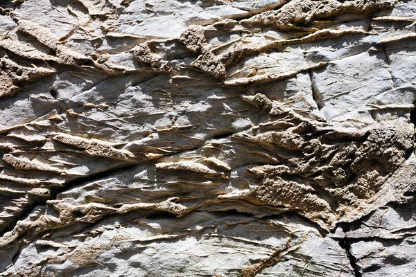 Абстрактная Часть Разрушенной Каменной Дорожки Обратите Внимание Мелкую Глубину Резкости — стоковое фото
