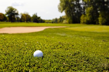 Golf topu çim, Not alan sığ derinliği