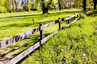 Ormandaki tahtadan çitler, sığ alan derinliğine dikkat edin.