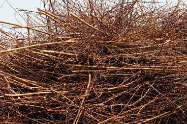 Kırık çalılıklar, dikkat edin yüzeysel alan derinliği