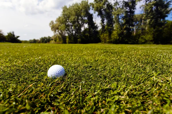 Golfball im Gras — Stockfoto