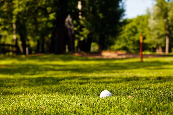 Μπάλα του γκολφ στο γρασίδι — Φωτογραφία Αρχείου
