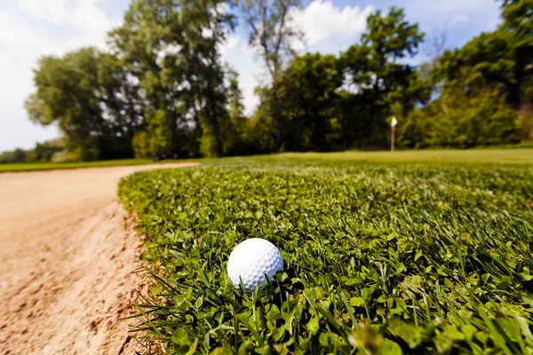 Bola Golfe Grama Note Profundidade Rasa Campo — Fotografia de Stock