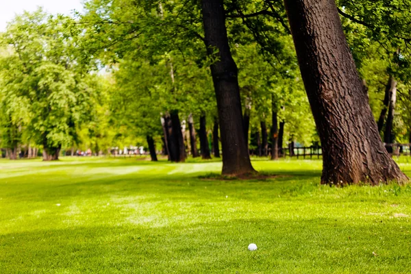 Bola Golfe Grama Verde Perto Floresta Observe Profundidade Rasa Campo — Fotografia de Stock