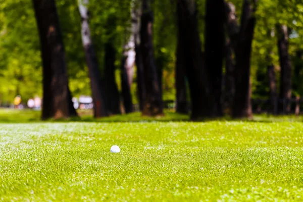 Piłka Golfowa Zielonej Trawie Pobliżu Lasu Zauważyć Płytkiej Głębokości Pola — Zdjęcie stockowe