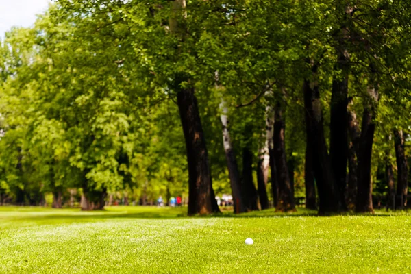 Golfboll Det Gröna Gräset Nära Skogen Notera Grunt Skärpedjup — Stockfoto
