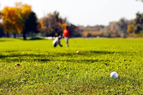 Jogadores Golfe Campo Observe Profundidade Rasa Campo — Fotografia de Stock