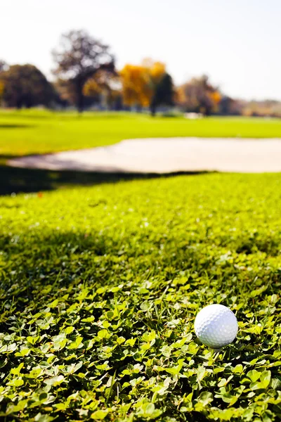Pelota Golf Hierba Verde Nota Poca Profundidad Campo — Foto de Stock