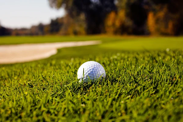 Golf Ball Green Grass Note Shallow Depth Field — 스톡 사진