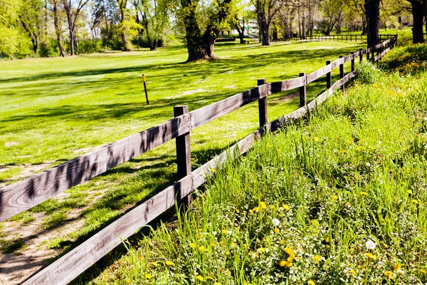 Ormandaki tahtadan çitler, sığ alan derinliğine dikkat edin.