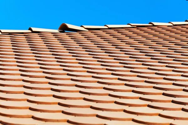 Semi Circular Roof Tiles Note Shallow Depth Field Stock Image