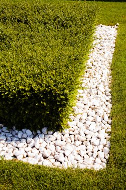 Parkların etrafında taşlarla çevrili yeşil çitler, sığ alan derinliğine dikkat edin.