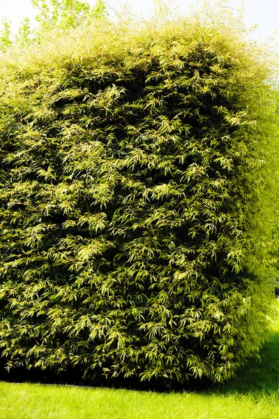 Evergreen Park, not alan sığ derinliği çitleri