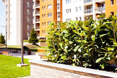 Binanın önündeki tuğlalardan oluşan jardiniera, yüzeysel alan derinliğine dikkat edin.