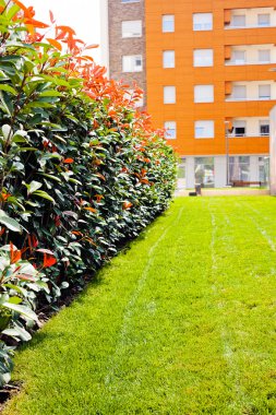 Evergreen Park, not alan sığ derinliği çitleri