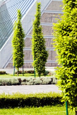 Binanın etrafındaki parkın peyzajı, sığ alan derinliğine dikkat edin